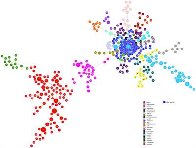 Phylogenomics of Acinetobacter species and analysis of antimicrobial resistance genes